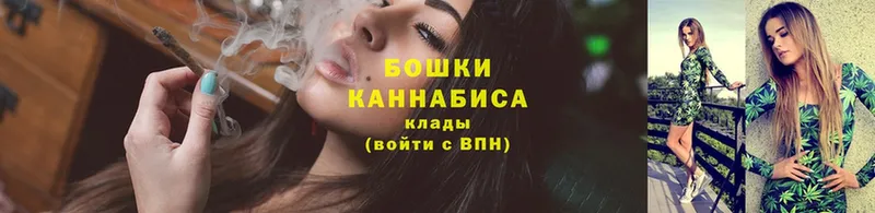 магазин    Нолинск  Бошки Шишки THC 21% 